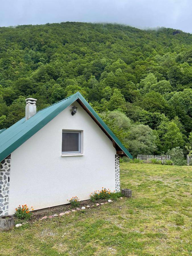 Private accommodation Kalezić in Czarnogóra