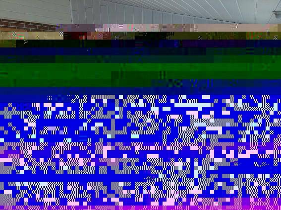 Ferienhaus für 4 Personen, mit Garten und Terrasse in Schleswig-Holstein - 2