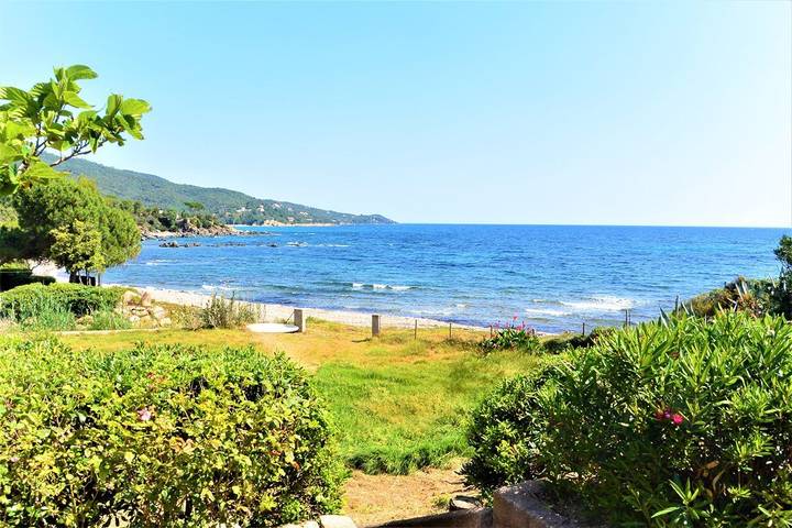 Gîte pour 4 personnes, avec jardin à Sari-Solenzara - 3