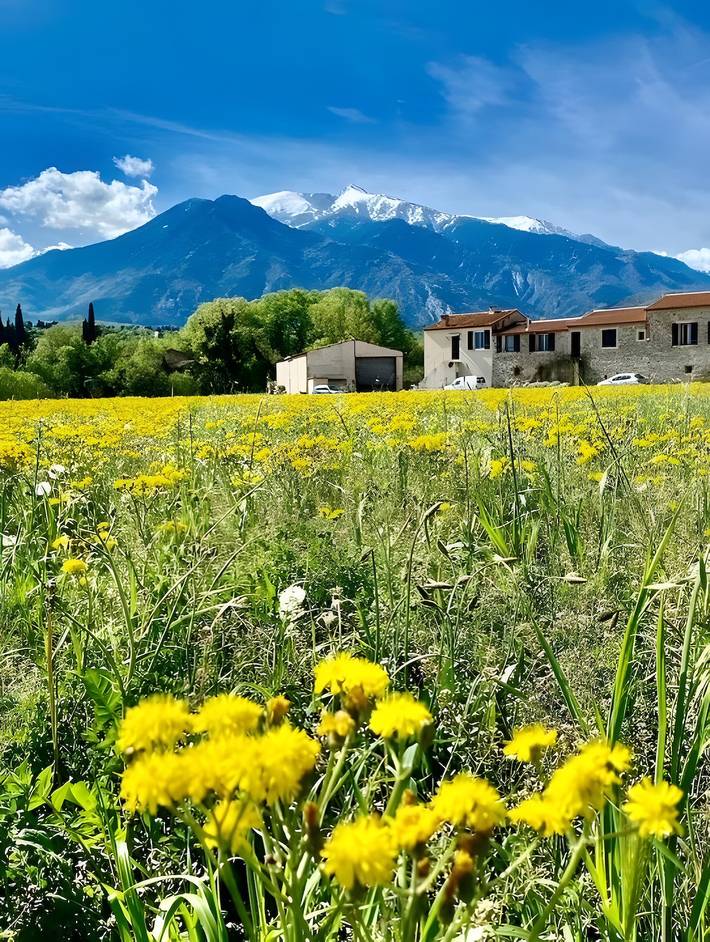 Appartement de vacances pour 4 personnes, avec Jardin