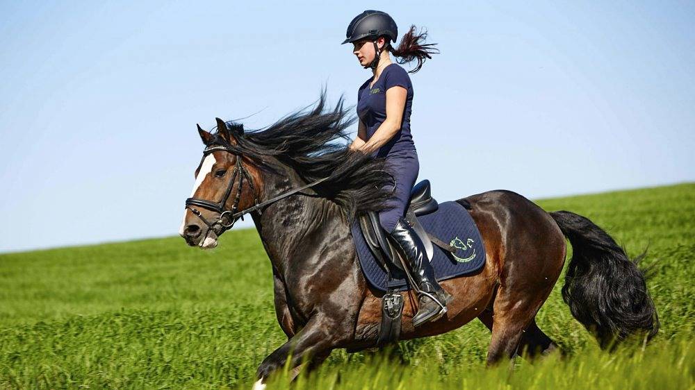 Urlaubsreiterhof Trunk - Burggärtchen in Igersheim, Taubertal