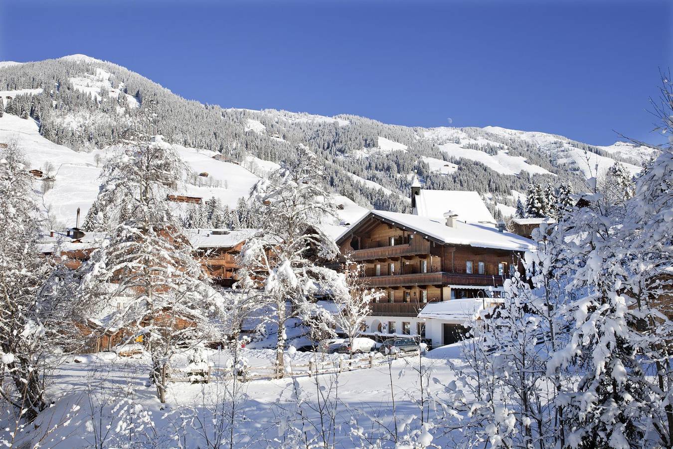 Ganze Ferienwohnung, Einzelzimmer in Inneralpbach, Alpbach