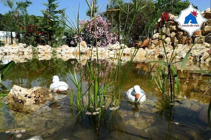 Gîte pour 2 personnes, avec piscine à Porto Covo - 3