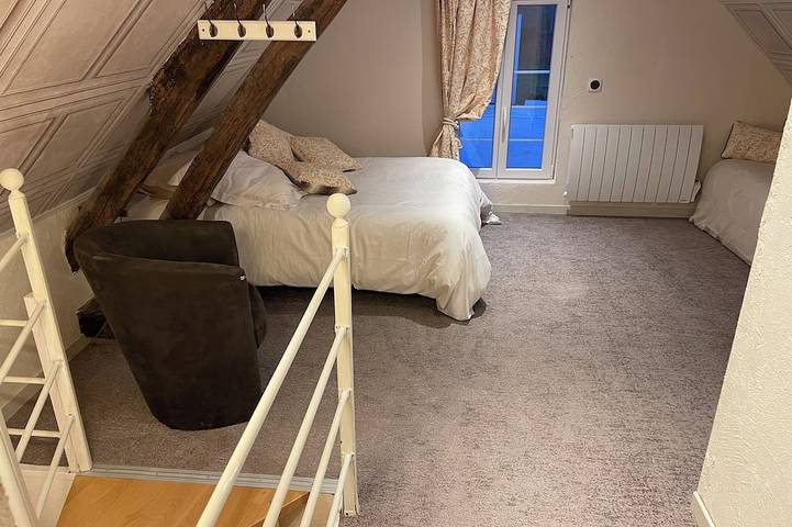 Location de vacances pour 8 personnes, animaux acceptés à Nançay - 4