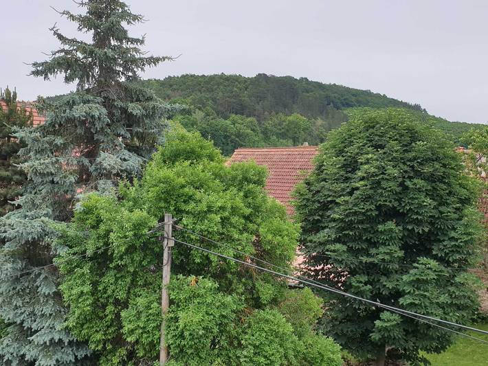 Ferienhaus für 4 Personen, mit Garten im Weimarer Land - 3