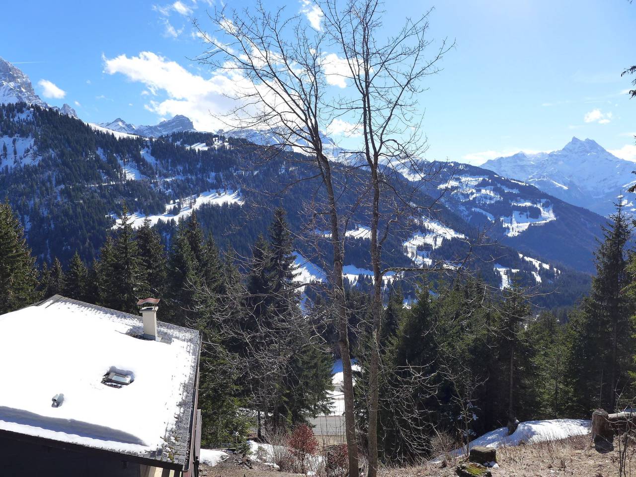 Ganze Wohnung, Arsets 203/12 in Gryon, Alpes Vaudoises