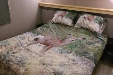 Chalet voor 4 Personen in Putten, Veluwe, Afbeelding 3