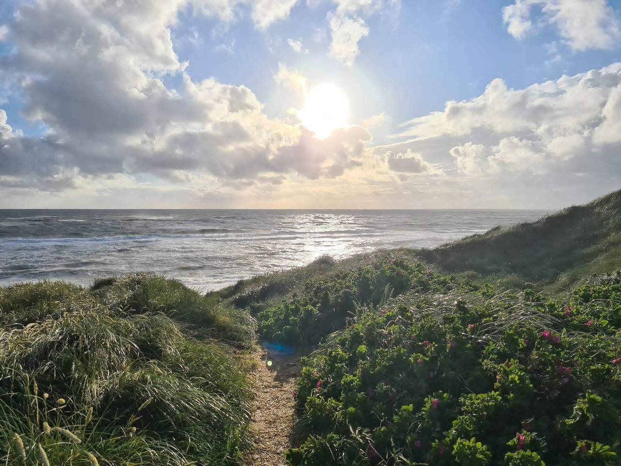 Vistas impresionantes en Storebaelt -- By Traum Ferienwohnungen in Región de Svendborg