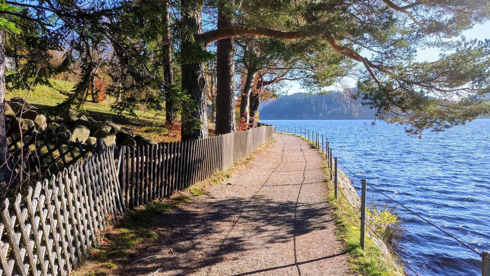 Ganze Ferienwohnung, Ferienwohnung "Il Paradiso" in Schluchsee mit Dachterrasse und Seeblick in Schluchsee, Südschwarzwald