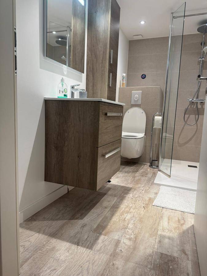 Gîte pour 4 personnes, avec terrasse, animaux acceptés à Geispolsheim - 4