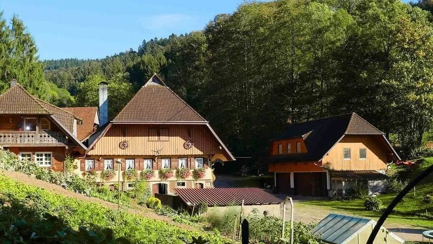 Ferienwohnung für 6 Personen, mit Terrasse und Garten, mit Haustier in Oberharmersbach