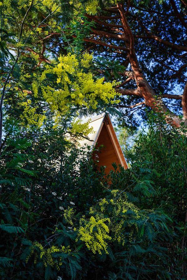 Zelt für 3 Personen, mit Garten und Balkon sowie Ausblick auf Elba - 4