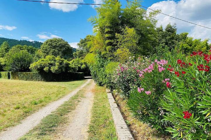 Gîte La Ferme de Cabanis 8 pers in Anduze, Parc national des Cévennes