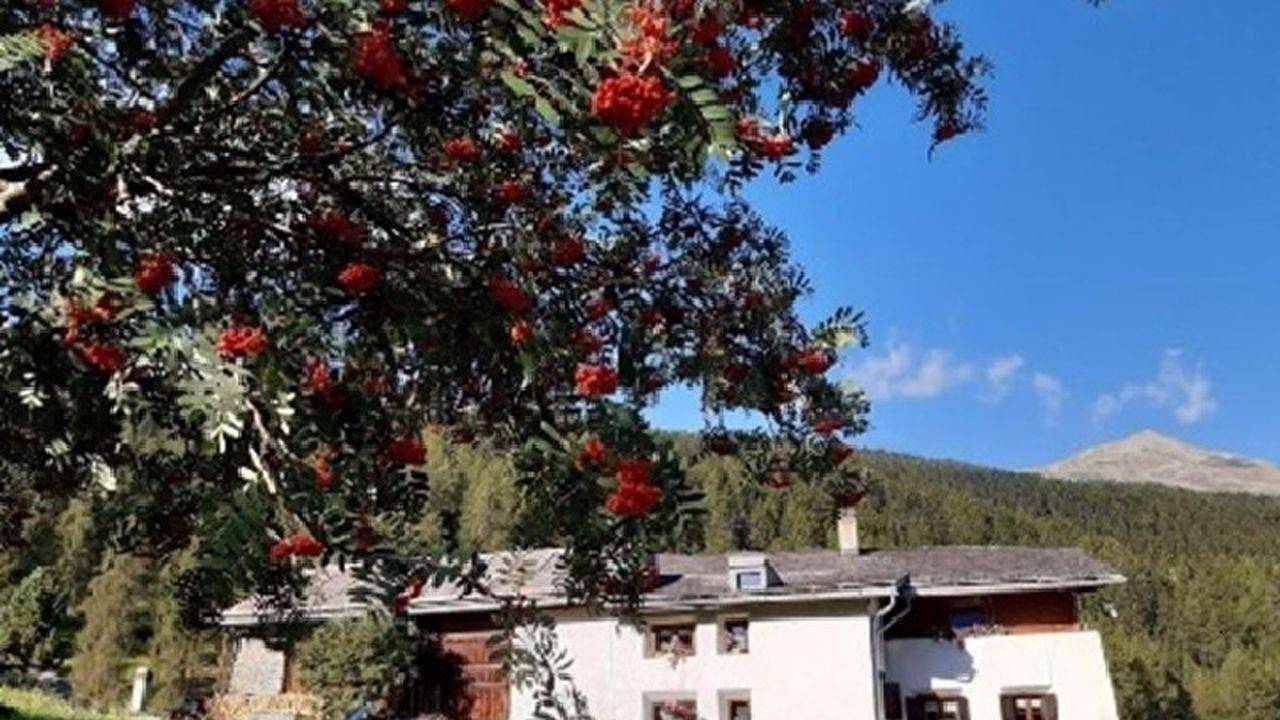 Ganze Ferienwohnung, Ferienwohnung für 3 Personen (92 m²) in Fuldera in Val Müstair, Ortleralpen