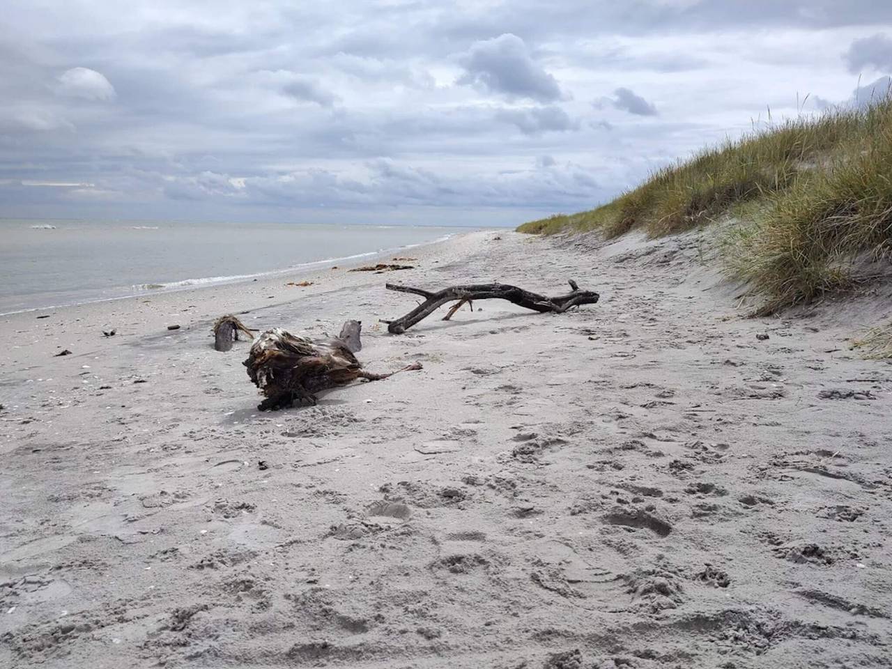 Havudsigt i Lyngsa in Sæby, Nordøstjylland