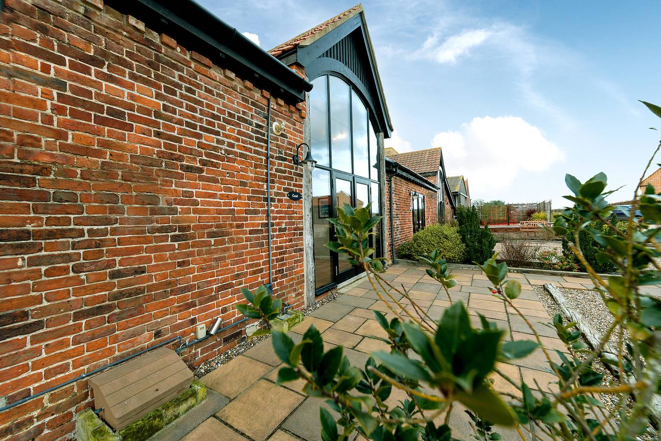 Coot in Wheatacre, Sunrise Coast