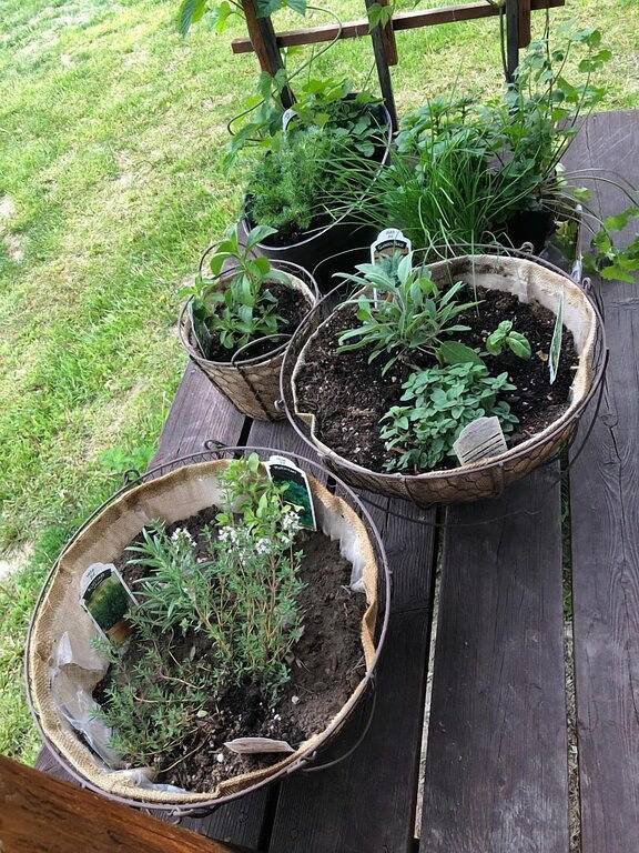 Camping für 3 Personen in Flathead Nationalwald, Montana