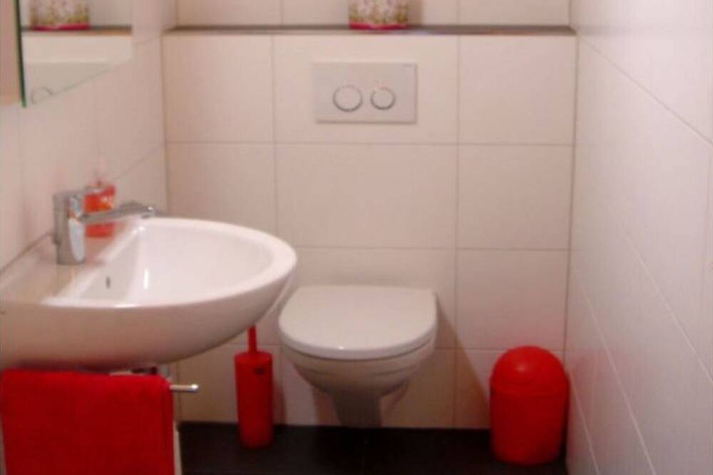 Ganze Wohnung, Stonas Sura / Stäuble, (Falera). 3 Zimmerwohnung in Falera, Flims Laax Falera