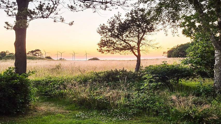 Ferienhaus für 7 Personen, mit Terrasse in Bønnerup Strand - 3