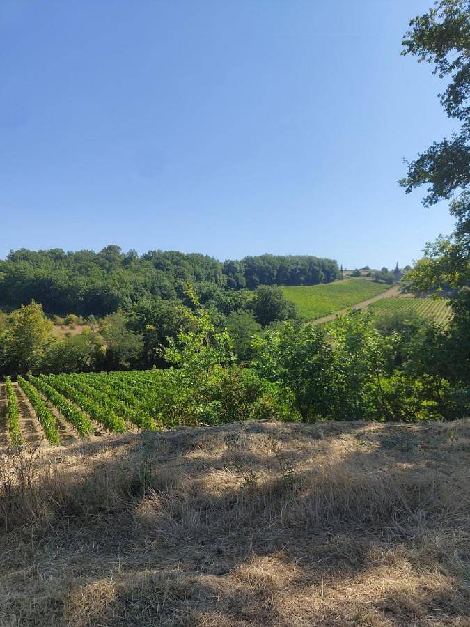 Location de vacances pour 14 personnes, avec jardin et terrasse ainsi que vue et piscine à Gauriac - 2