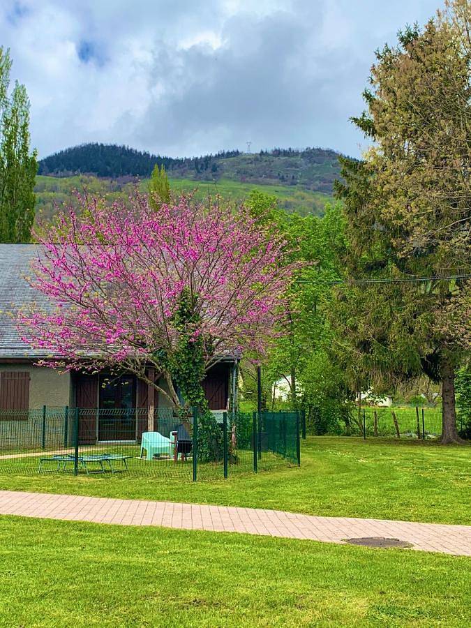 Gîte pour 4 personnes, avec vue ainsi que jardin et piscine à Bielle (Pyrénées-Atlantiques) - 3
