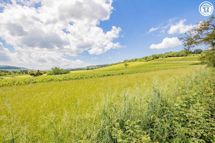 La Charmille in Azé (Saône-et-Loir), Mâcon und Umgebung