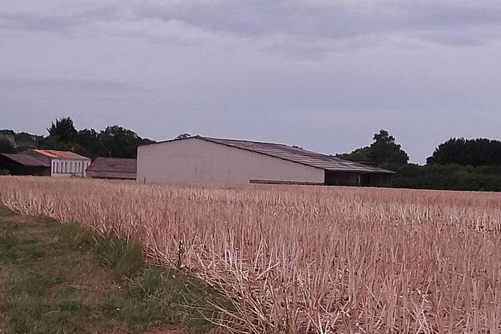 Location de vacances pour 2 personnes, animaux acceptés à Corme-Royal - 4