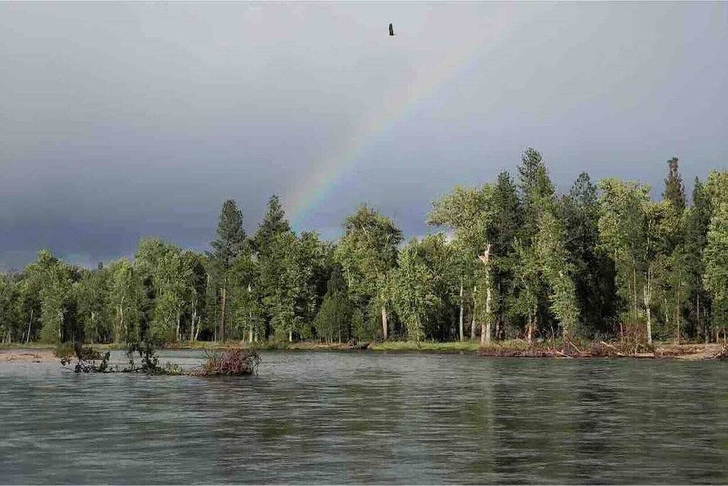 Lester’s Cottage - Riverfront Retreat in Lolo Nationalwald
