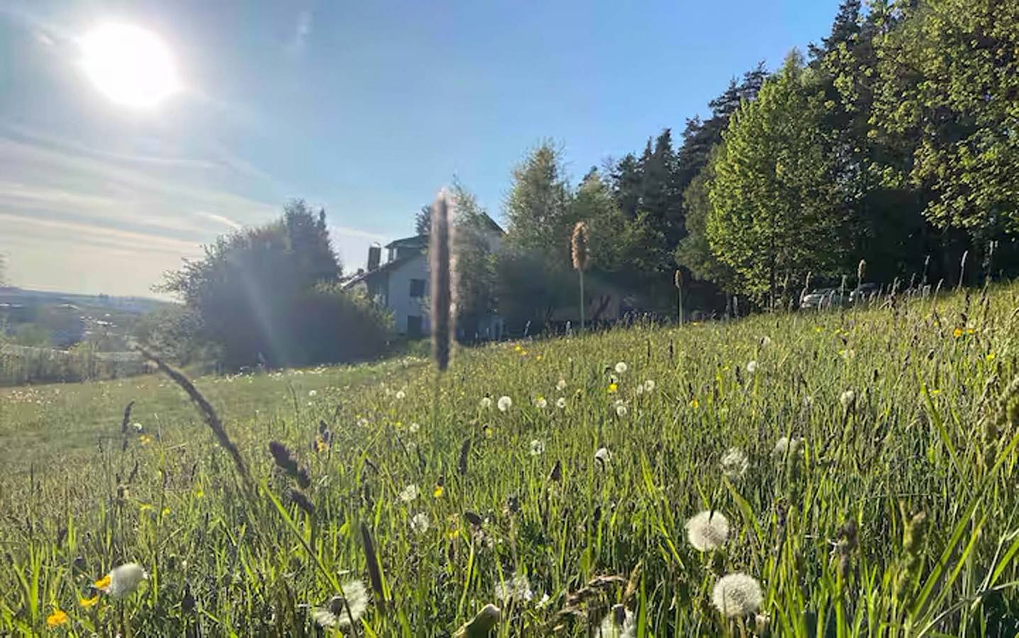Ganze Wohnung, Fichtelraum – Dein Raum im Fichtelgebirge - Apartment Anni – Entspannung mit Weitblick in Gefrees, Landkreis Bayreuth