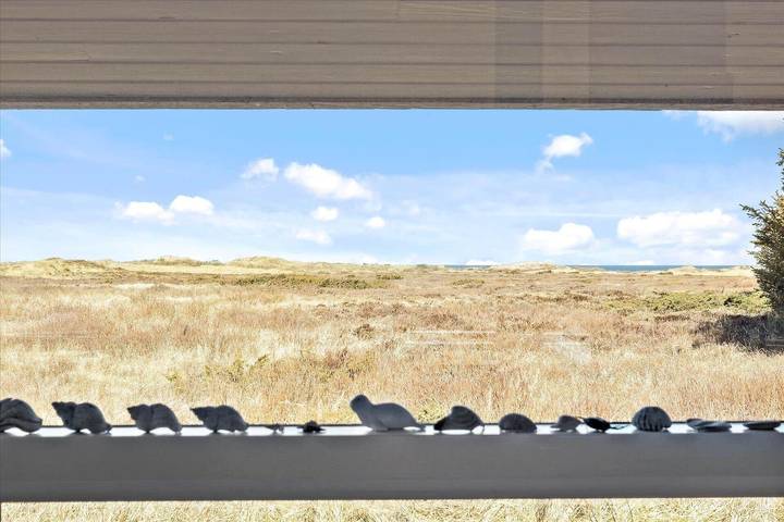 Ferienhaus für 6 Personen, mit Terrasse, mit Haustier in Tversted - 4