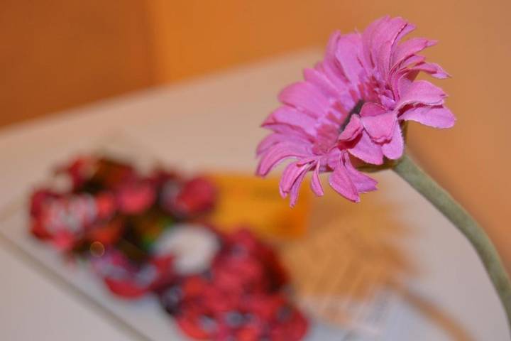 Casa de huéspuedes para 1 personas - 1