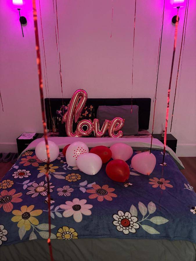 Gîte pour 2 personnes, avec piscine et vue, animaux acceptés à Malesherbes - 2