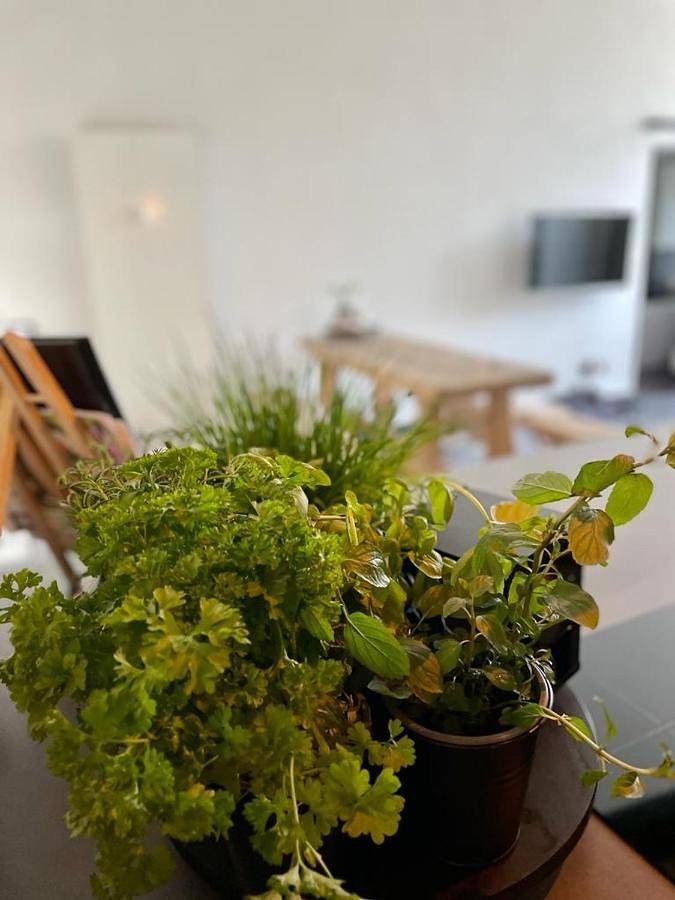 Ferienwohnung für 3 Personen, mit Whirlpool und Terrasse in der Südeifel - 3