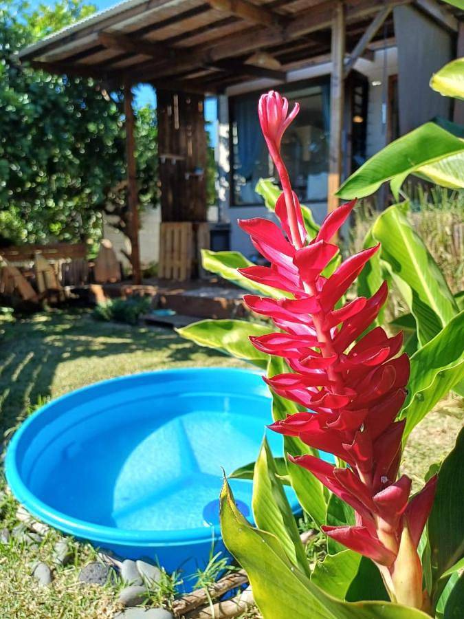 Gîte pour 2 personnes, avec vue et terrasse ainsi que jardin et piscine dans Mahina - 2