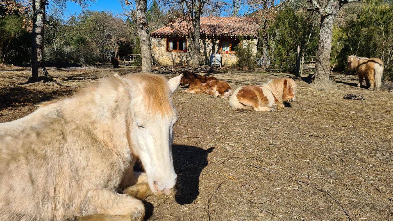 Gîtes à la Ferme - Hautes-Corbières in Termes, Parc naturel régional Corbières-Fenouillèdes