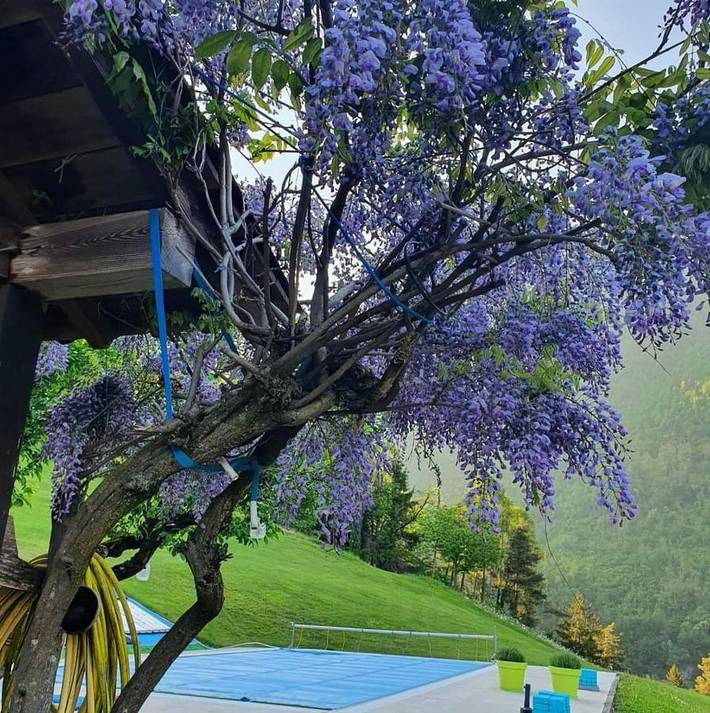 Location de vacances pour 4 personnes, avec jardin ainsi que vue et piscine à Bagolino - 4