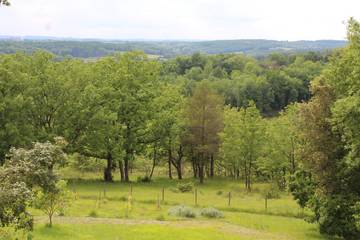 Cottage for 6 People in Monsac, Périgord Pourpre, Photo 1