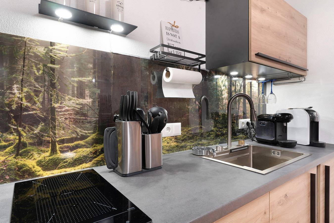 Ganzes Studio, Einzimmerapartment 'Schwarzwald Chalet Achern' mit Wlan in Oberachern, Achern