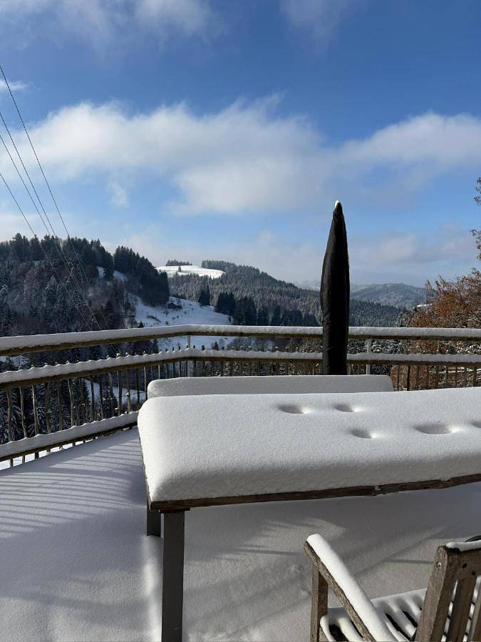 Ferienhaus für 15 Personen, mit Garten und Ausblick in Buchenberg - 3