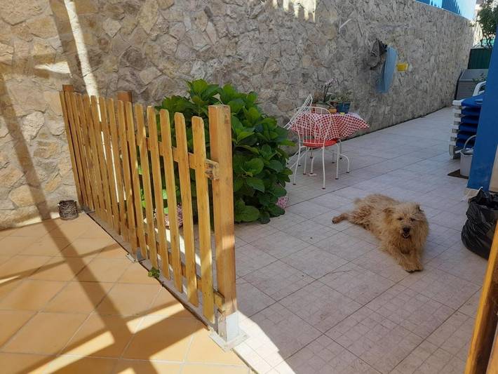Chambre d’hôte pour 2 personnes, avec bassin pour enfant et piscine ainsi que terrasse et vue à Ericeira - 4