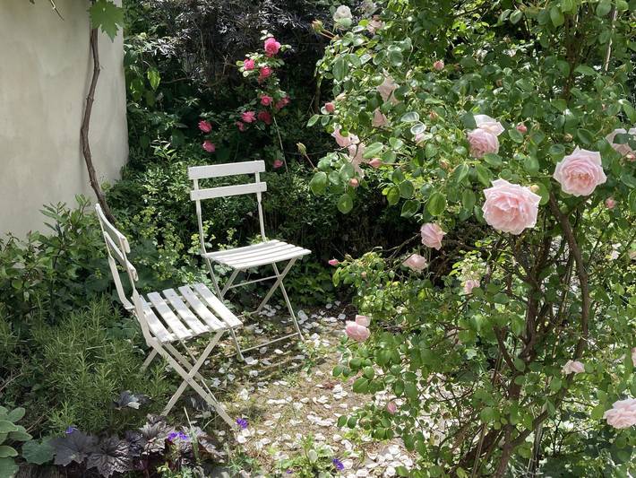 Pension pour 2 personnes, avec terrasse et jardin dans Saxe-Anhalt - 2