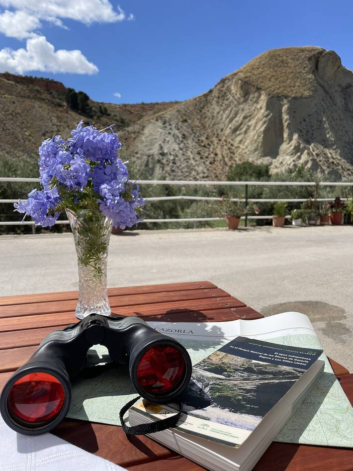 Chalet para 10 personas, con jacuzzi y balcón en Provincia de Jaén - 4