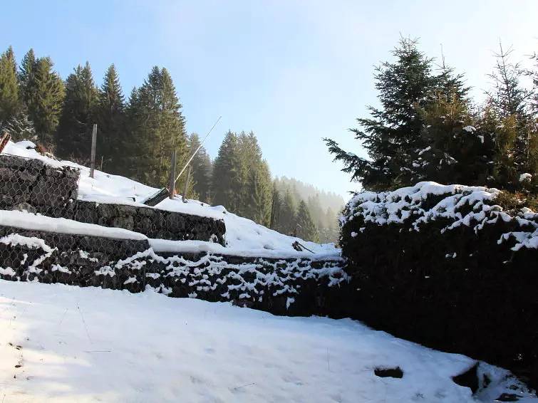 Appartement entier, 2 Pièces 3 Personnes in Villars-sur-Ollon, Ollon (Villars-sur-Ollon)