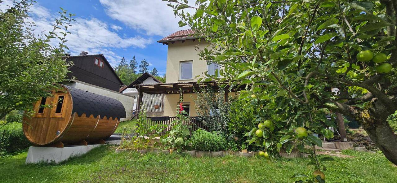 Neu im Harz, Das Haus am Wald mit privater Sauna, frisch renoviert in Zorge, Harzvorland