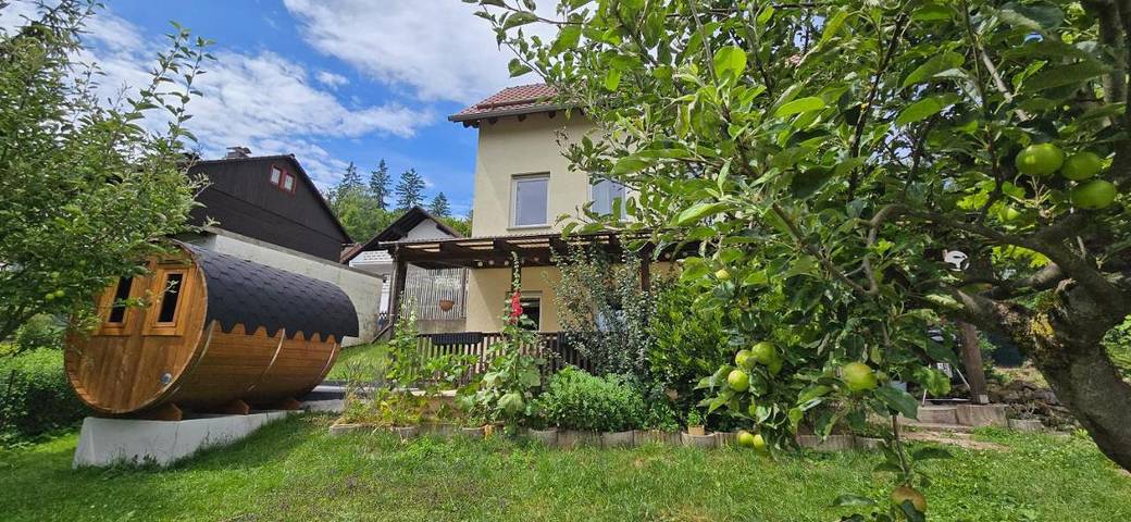 Ferienhaus für 7 Personen, mit Terrasse und Garten sowie Sauna und Ausblick in Zorge - 2