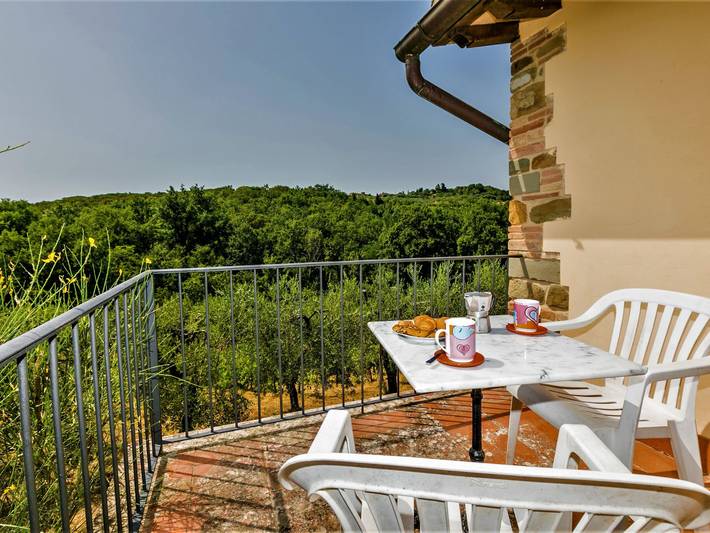 Location de vacances pour 4 personnes, avec jardin ainsi que terrasse et vue, animaux acceptés à Scandicci - 3
