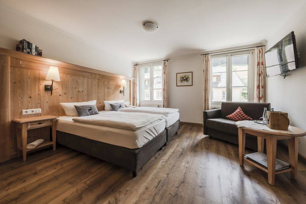 Naturpark-Hotel Grüner Baum - Einzelzimmer mit Dusche/Bad und Wc in Muggenbrunn, Todtnau