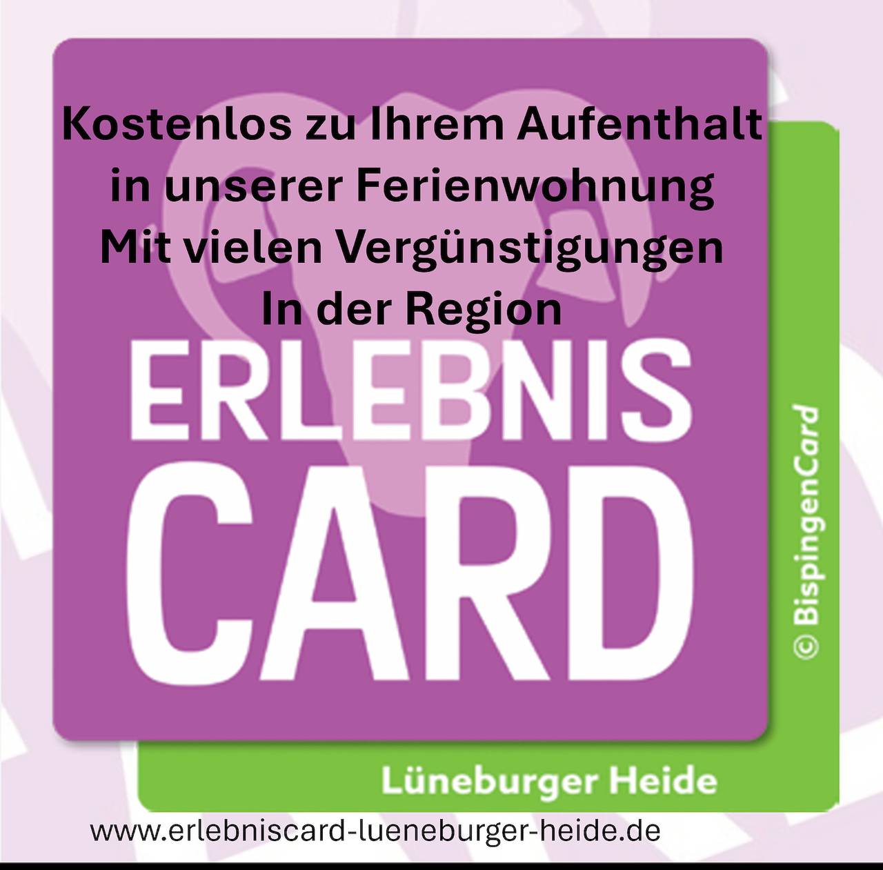 Ganze Ferienwohnung, Appartement/Fewo, Dusche, Wc, 1 Schlafraum in Hanstedt, Nordheide
