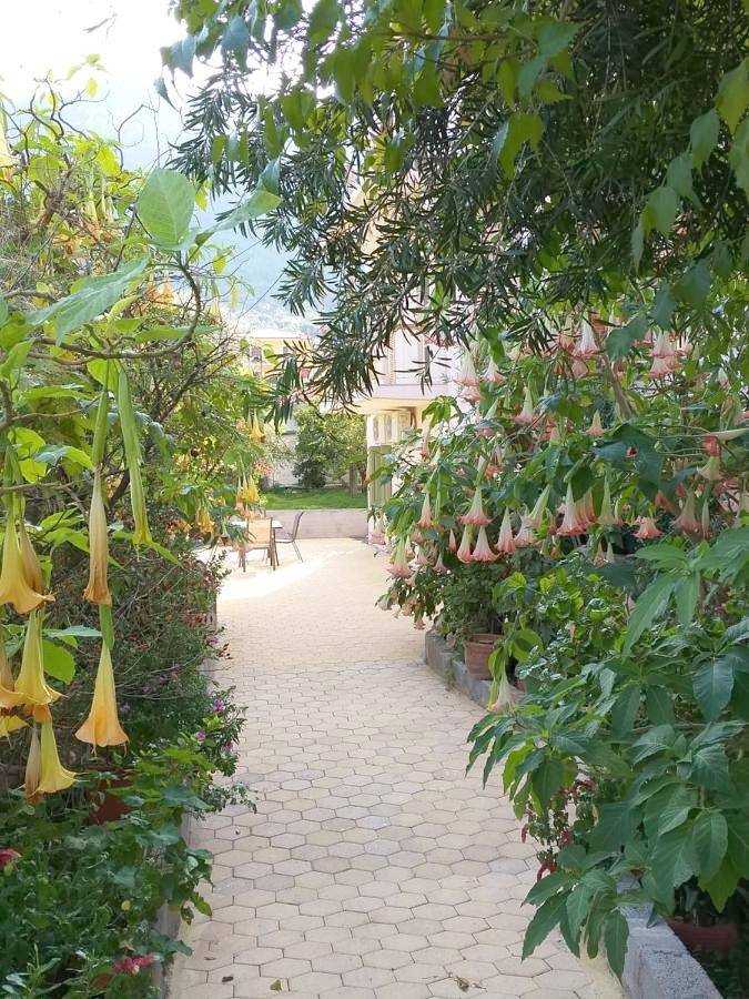 Gîte pour 4 personnes, avec jardin et vue dans Leonidion - 3