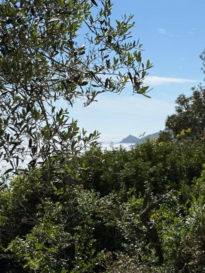 Location de vacances pour 2 personnes, avec jardin ainsi que balcon et vue dans Île du Levant - 3
